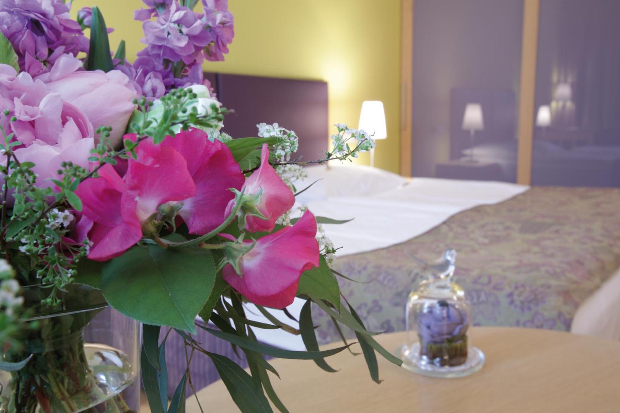 Appartement-hotel An Der Riemergasse Apartahotel
